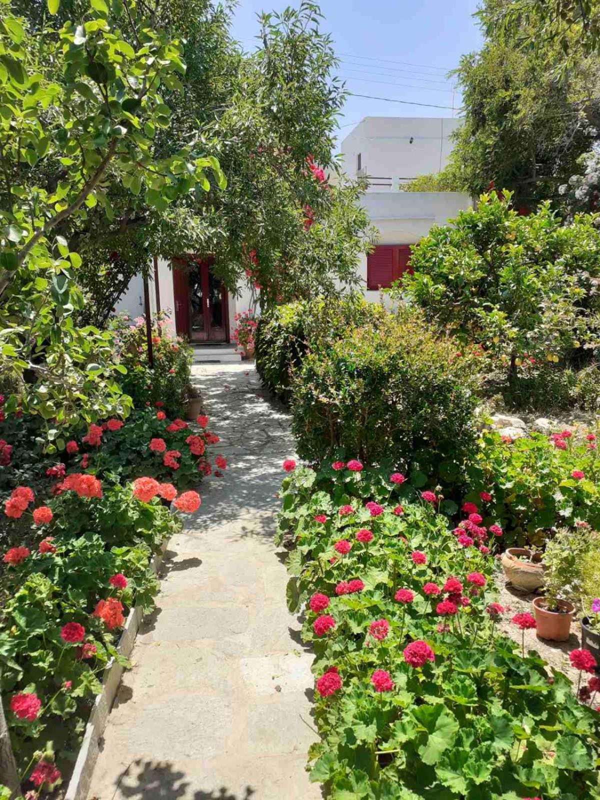 Kipos Apartamento Apollonía Exterior foto